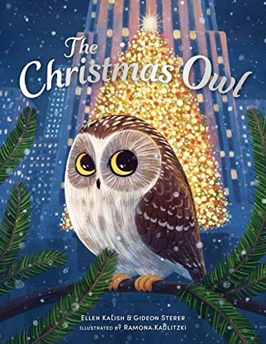 Christmas Owl V6895