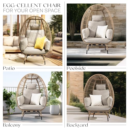 Black Wicker Egg Chair with Cushion D356