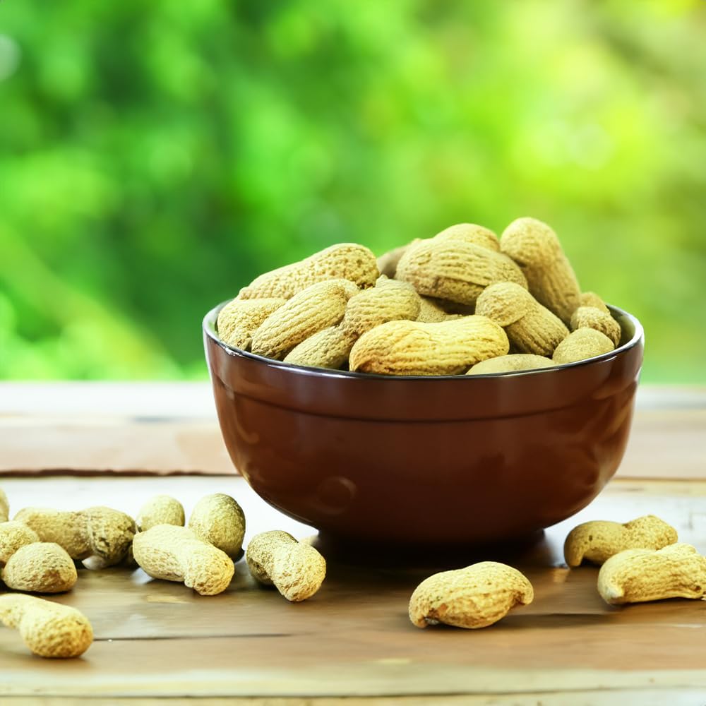 Plain In Shell Peanuts 2 lbs N1177