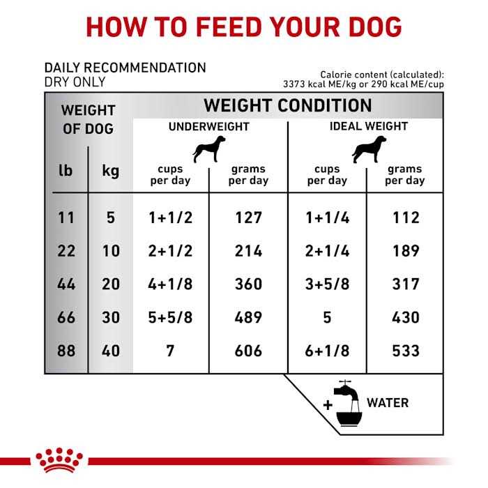 Veterinary Diet Gastrointestinal Fiber Response Dry Dog Food Q9246