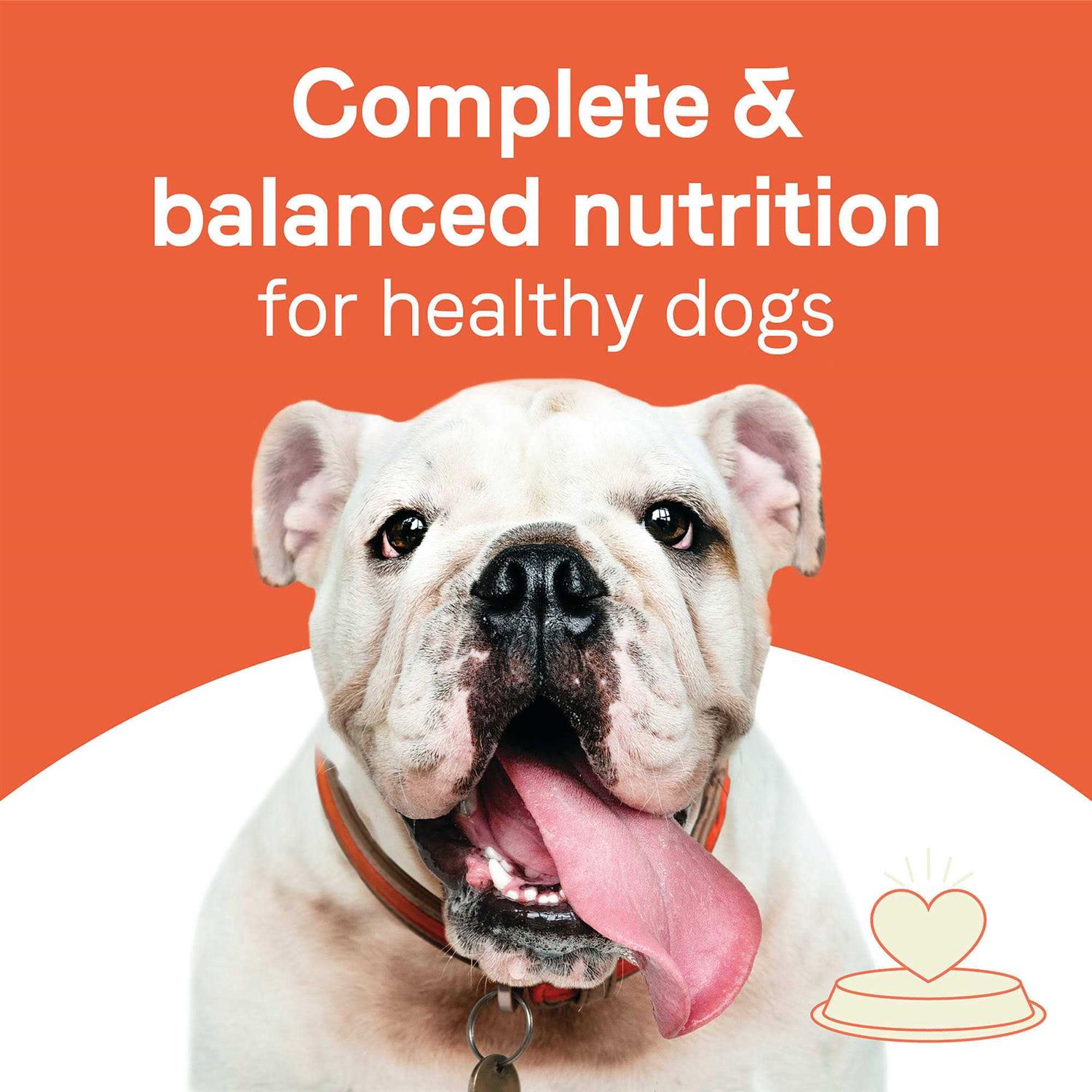 Adult Dry Dog Food Beef and Oatmeal K357