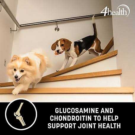 Adult Lamb and Rice Formula Dry Dog Food A477178