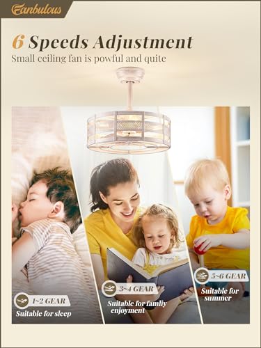 White and Gold 16in Caged Ceiling Fan with Lights and Remote U206630