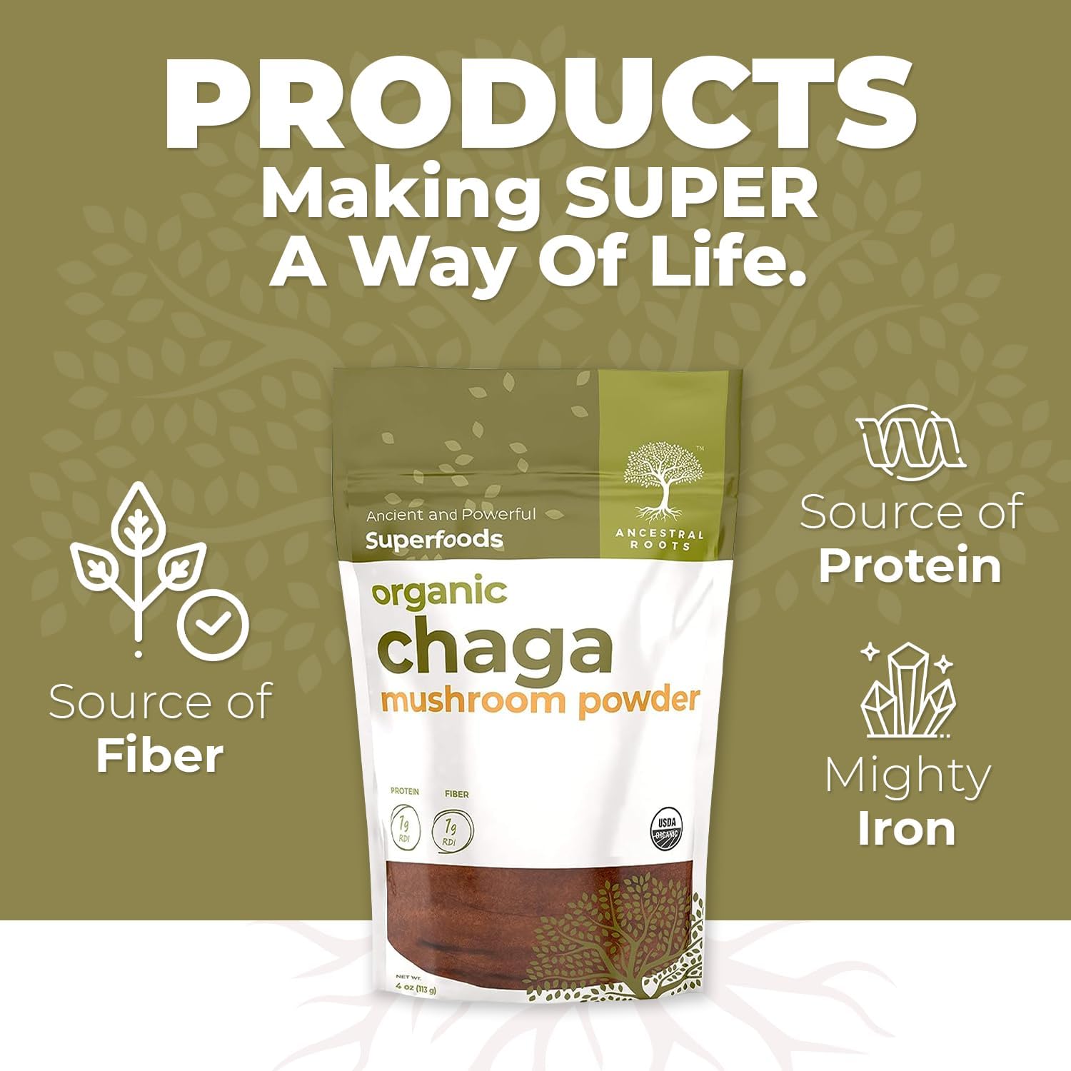 Organic Chaga Mushroom Powder, 4 oz, USDA Organic M201