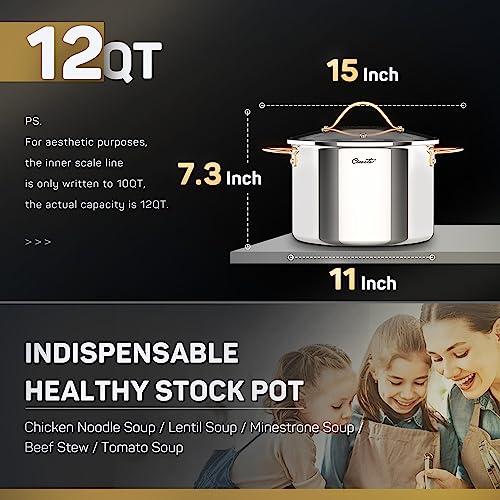 3 Ply Stainless Steel 8 Quart Stock Pot with Lid B8143