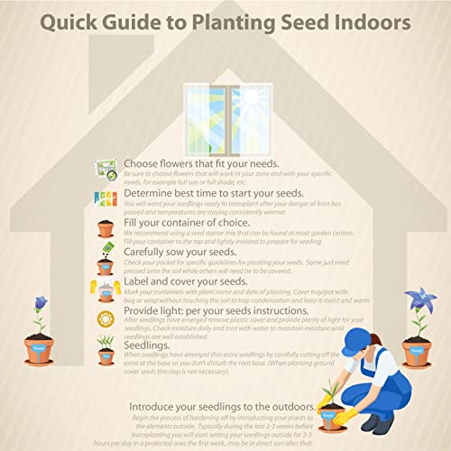 1000 Seeds Perennial Clematis Climbing Vine Garden Seeds U52960