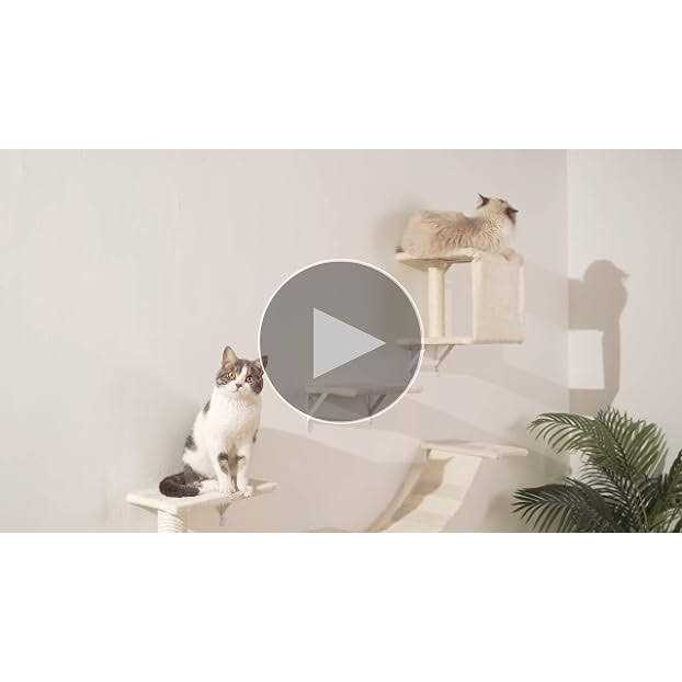 5pcs Wooden Cat Wall Shelves and Scratcher F3562
