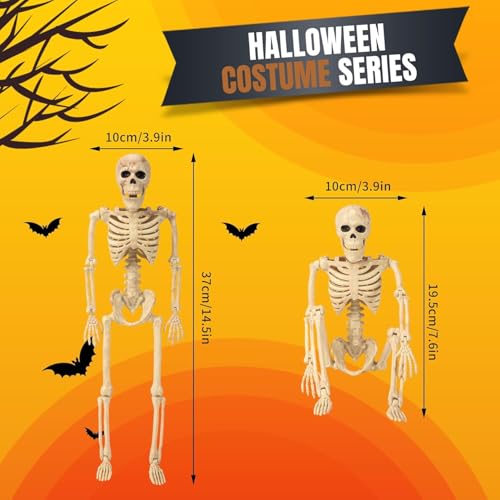 5.4 ft Posable Halloween Skeleton with Movable Joints Q98286