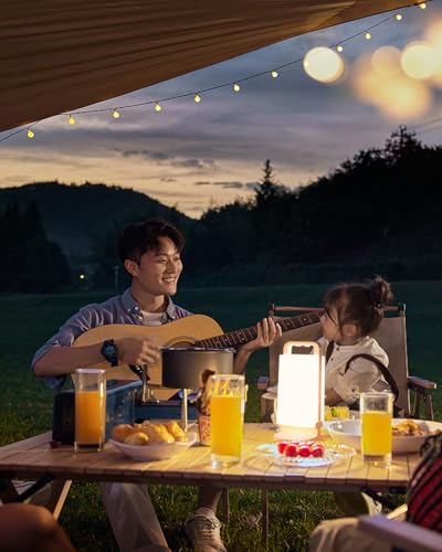 6000mAh Rechargeable Solar Lantern U819409