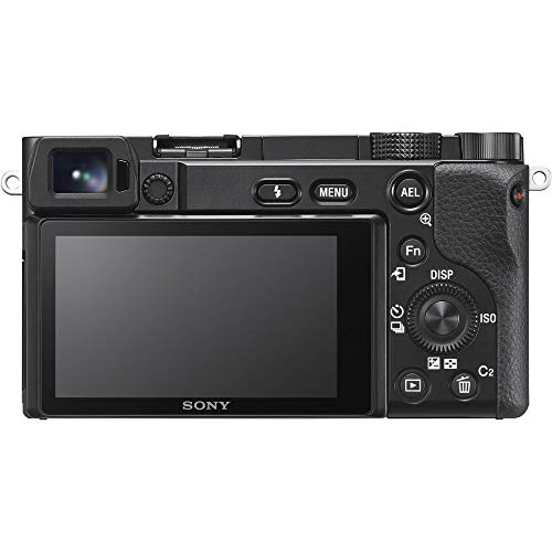 Mirrorless Camera L868