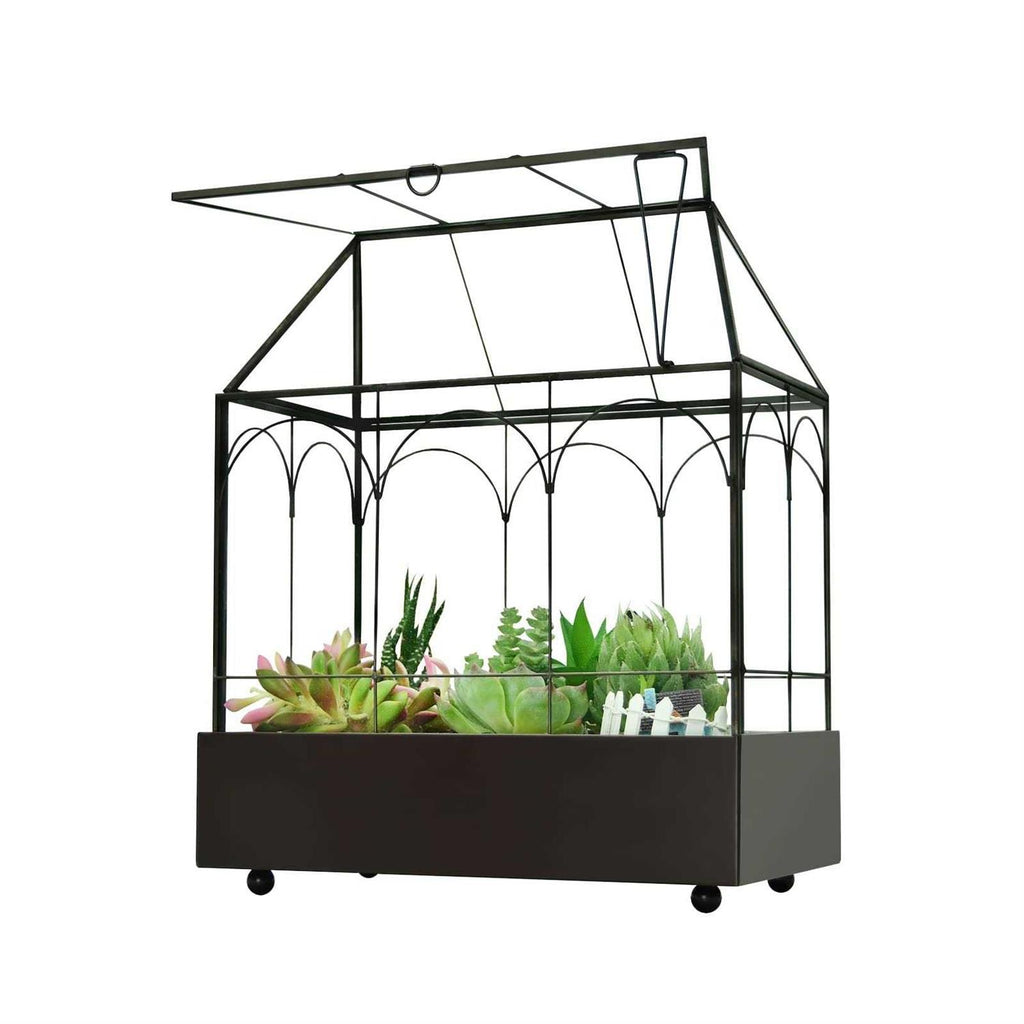 Large Tall Glass Plant Terrarium with Lip and Tray A691