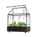 Large Tall Glass Plant Terrarium with Lip and Tray A691