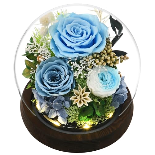 Rose in Glass Dome with LED Light K52292